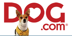 Dog.com Coupon & Promo Codes