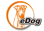 eDog