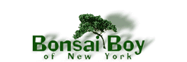Bonsai Boy of New York Coupon & Promo Codes