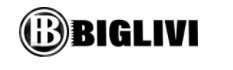 Biglivi Coupon & Promo Codes