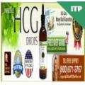 Official Hcg Diet Plan