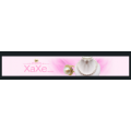 Xaxe Coupon & Promo Codes